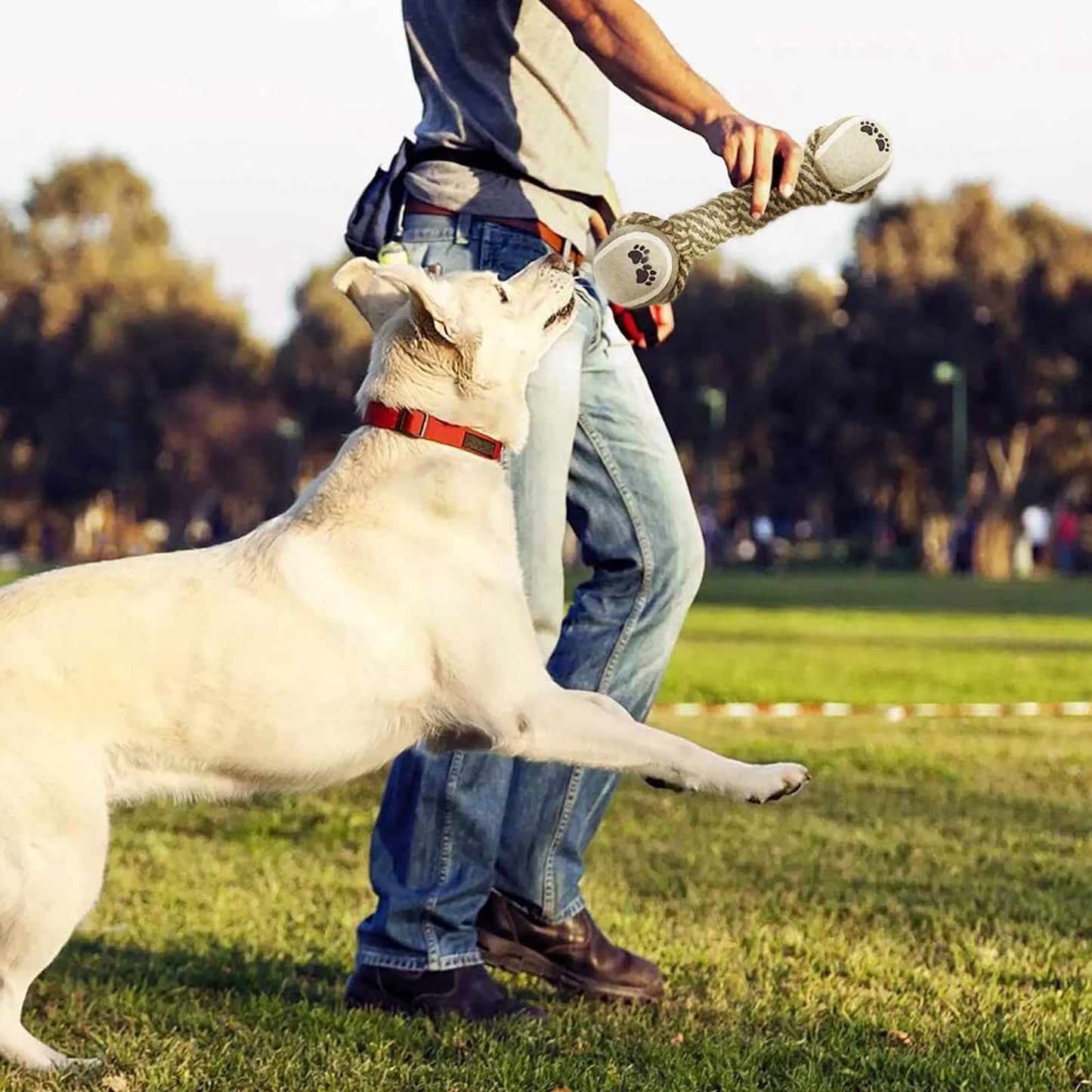 Interactive Rope Dog Toy For Medium Dogs