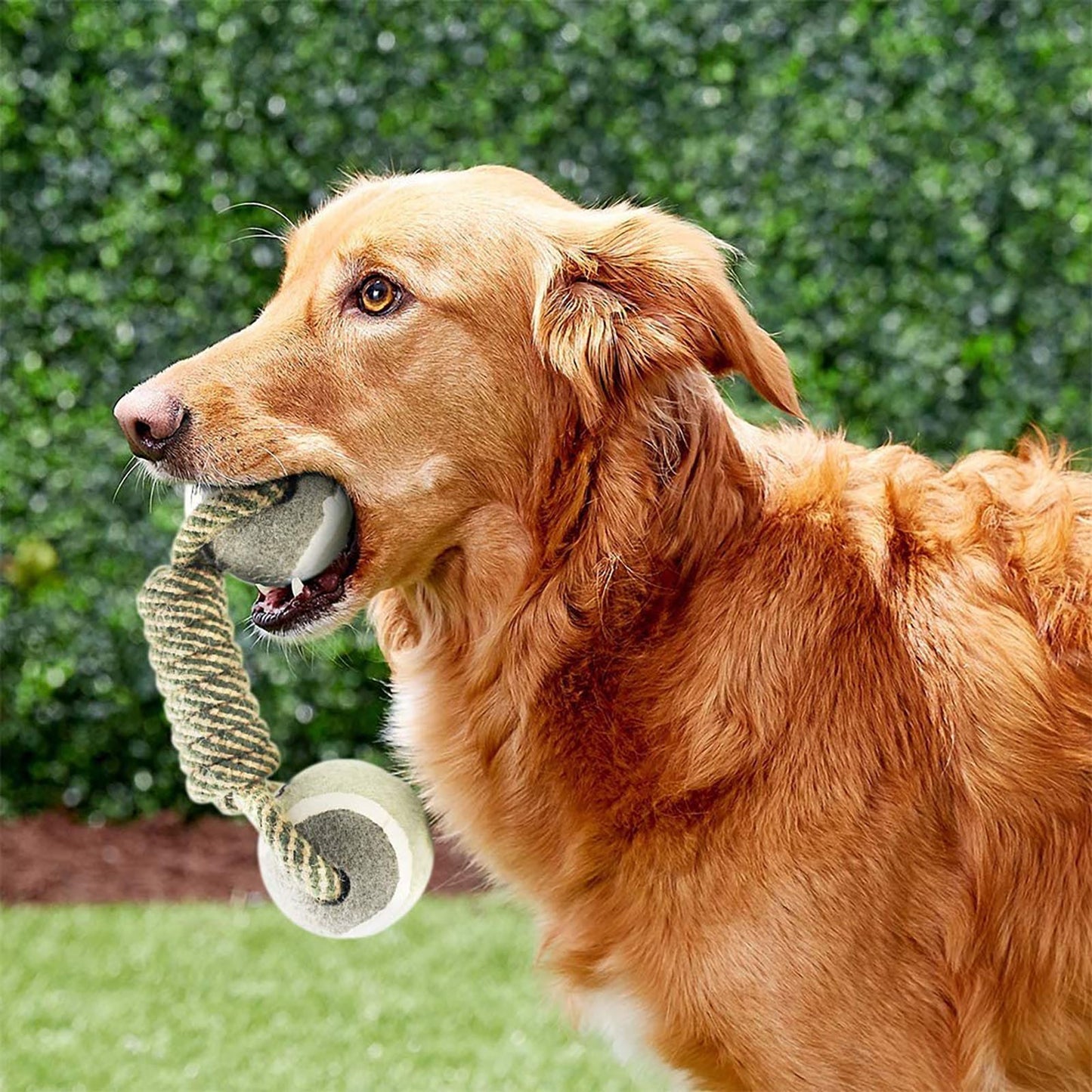Interactive Rope Dog Toy For Medium Dogs