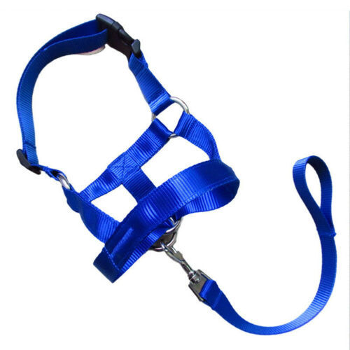 Dog pull correction leash/harness