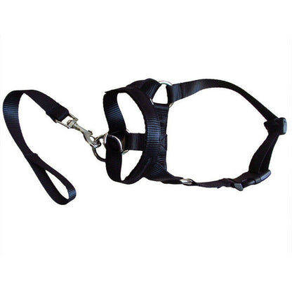 Dog pull correction leash/harness