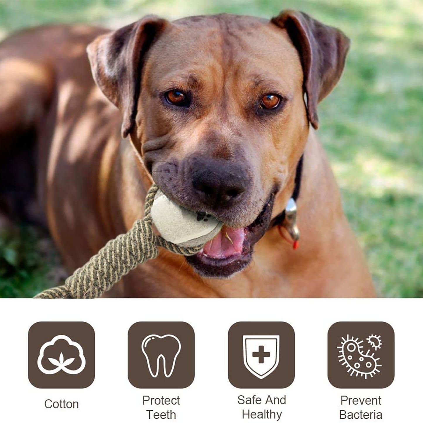 Interactive Rope Dog Toy For Medium Dogs