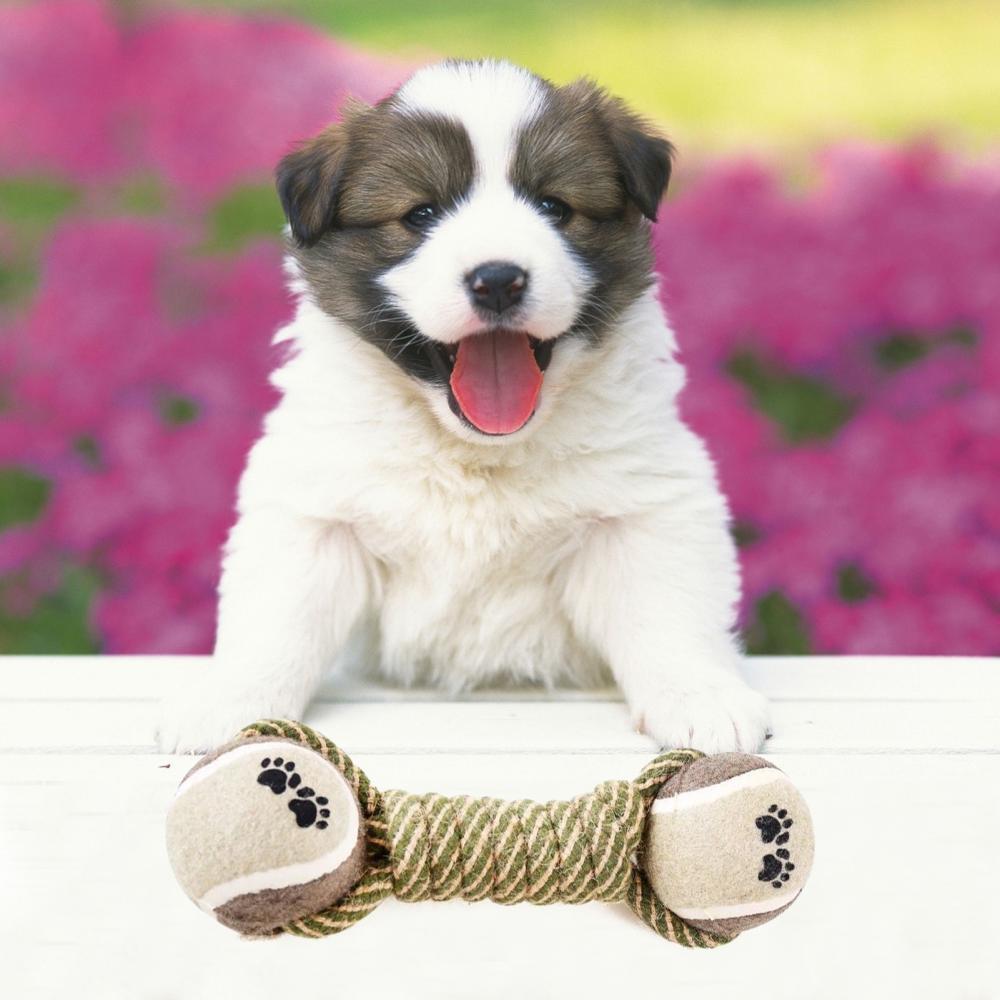 Interactive Rope Dog Toy For Medium Dogs