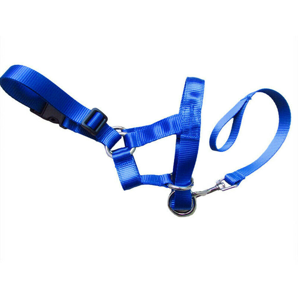 Dog pull correction leash/harness