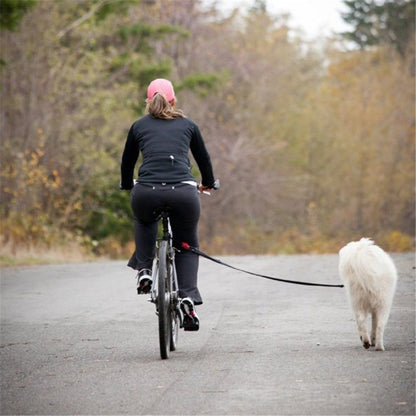 Bicycle Dog Chain Detachable Walker