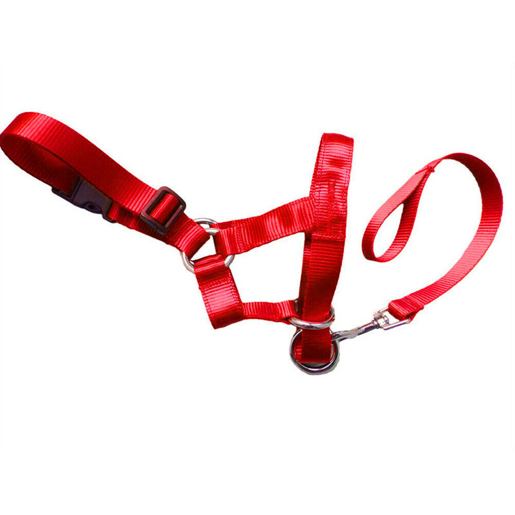 Dog pull correction leash/harness